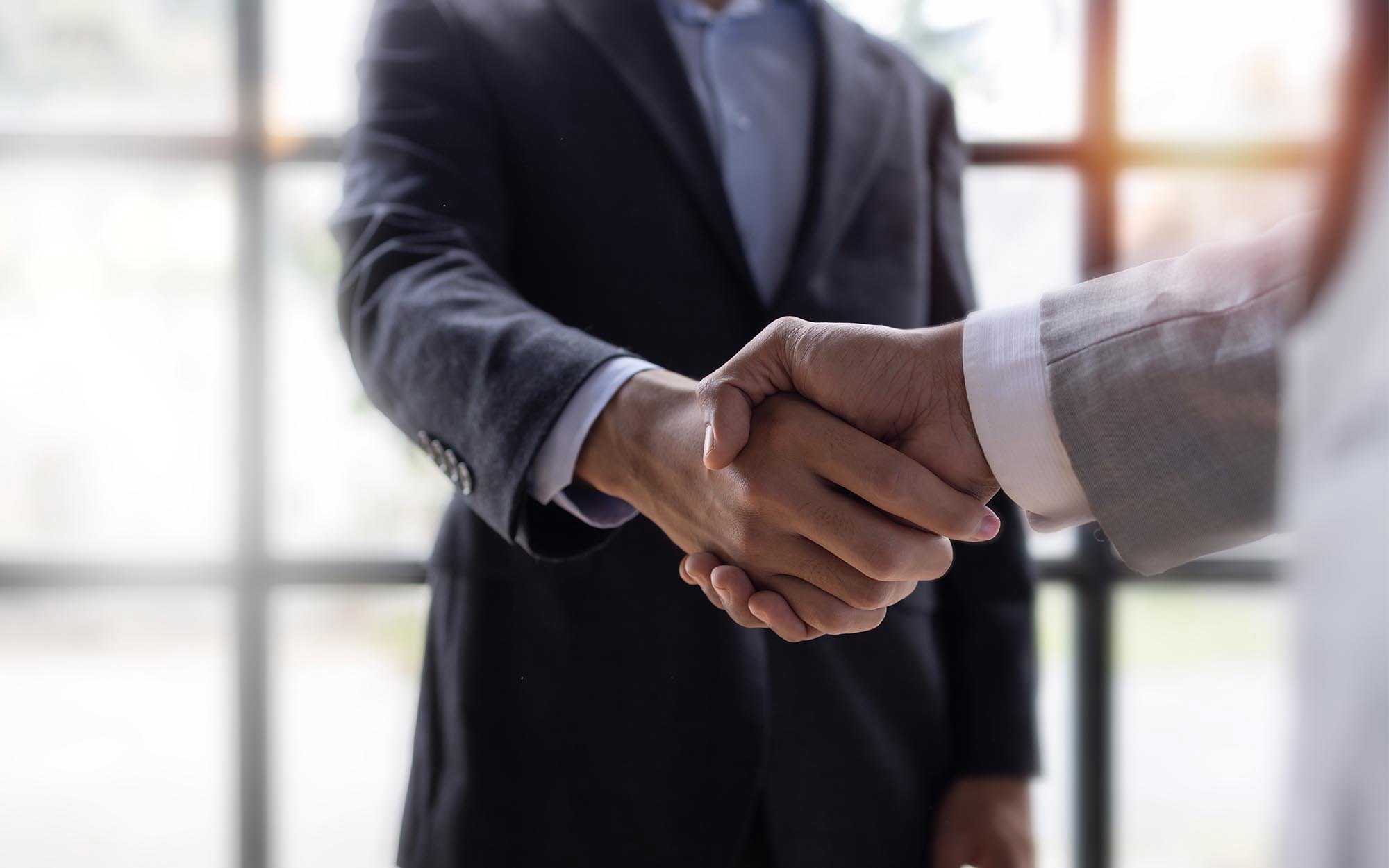 Side view of two businesspeople shaking hands